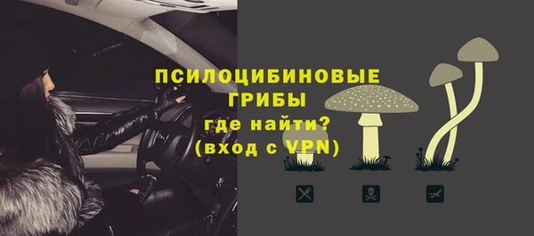 сатива Абаза