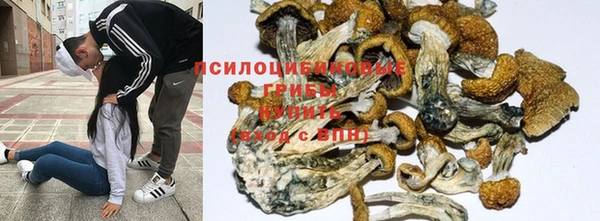 соль курить ск Алзамай