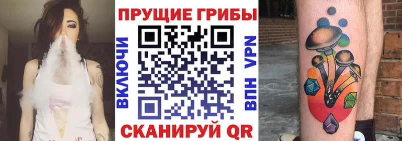 дарнет шоп Донской Псилоцибиновые грибы MAGIC MUSHROOMS