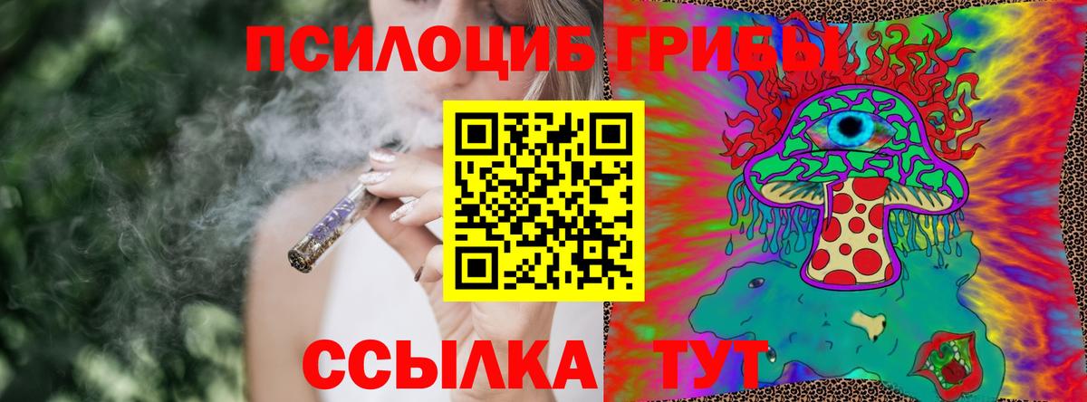 Галлюциногенные грибы Psilocybine cubensis Донской