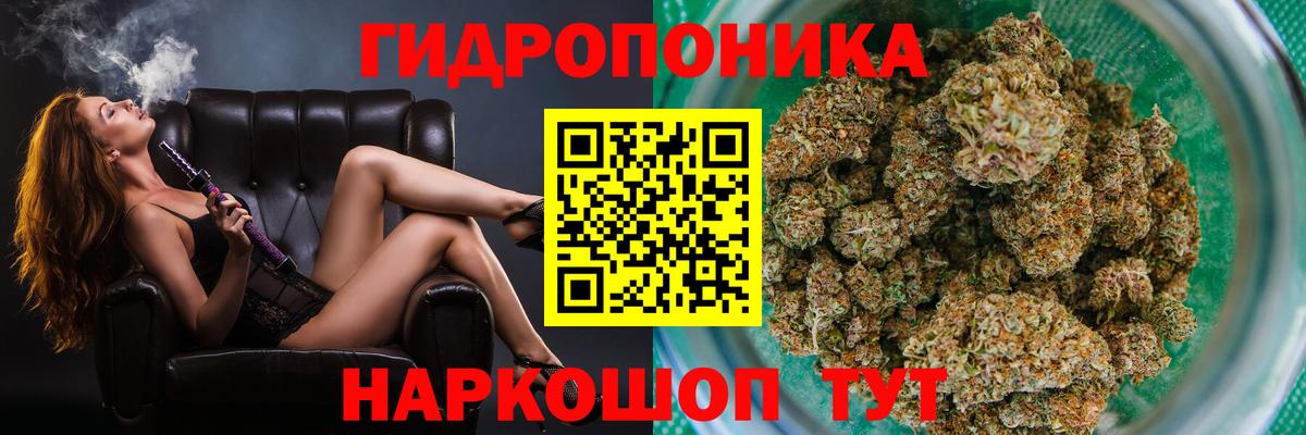 Бошки Шишки конопля Донской